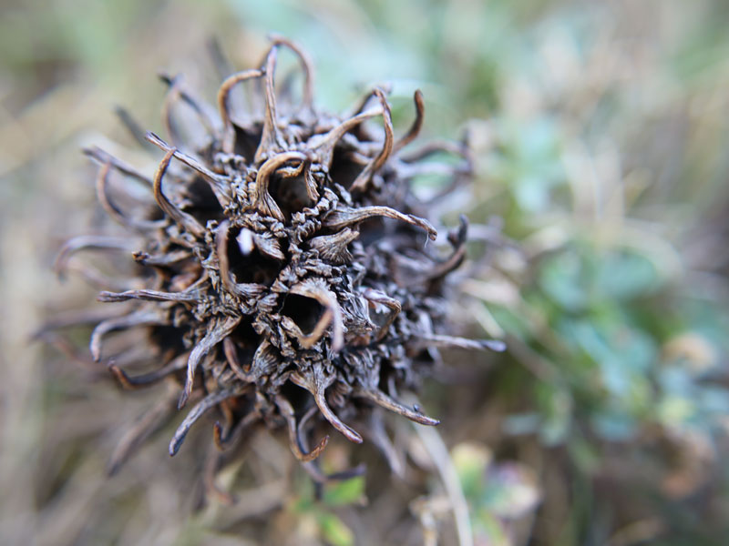 Emotionslosigkeit: Warum man manchmal nichts mehr fühlt